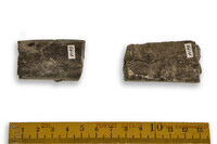 F 05416
<br/>
<br/>
<em></em>